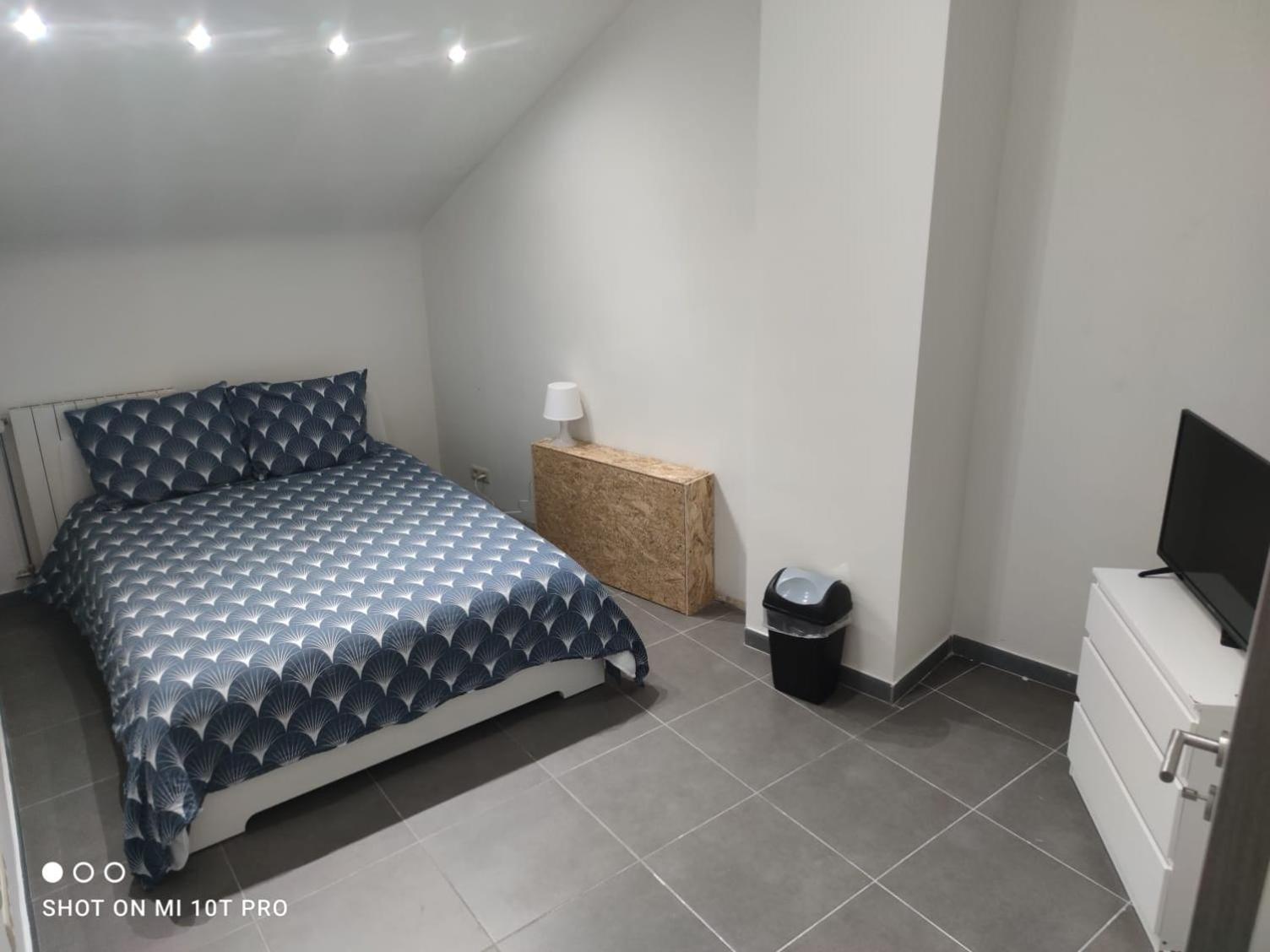 שרלרואה Belle Villa De Luxe Avec 8 Chambres מראה חיצוני תמונה